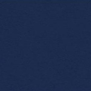 CS Heavyweight Deep Blue